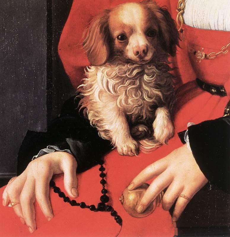 BRONZINO, Agnolo Portrait of a Lady with a Puppy (detail) fg Germany oil painting art
